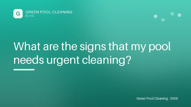 What are the signs that my pool needs urgent cleaning? What are the signs that my pool needs urgent cleaning?