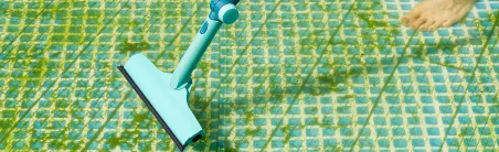 algae-and-stain-removal