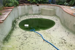 Eco-conscious Pool Cleaners Mentone
