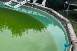 St Kilda Green Pool Care