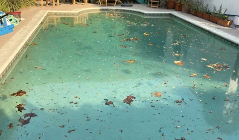 Natural Pool Cleaning Prahran