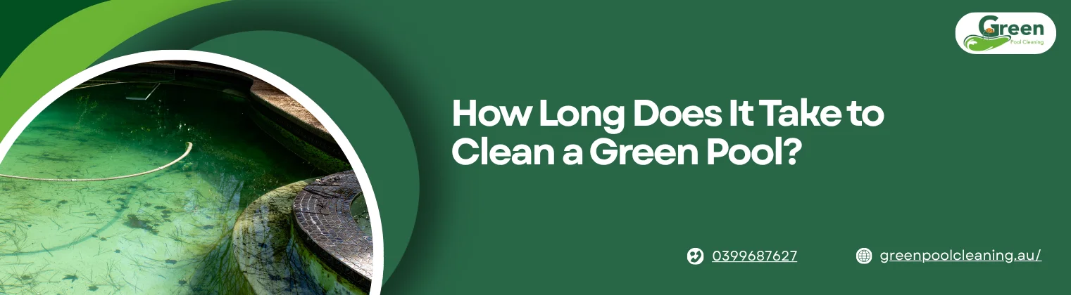 Same Day Pool Cleaning