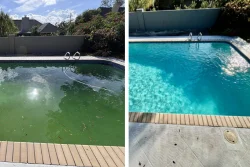 Green Pool Cleaning Services Mentone