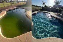 Eco-friendly Pool Cleaning Morabbin