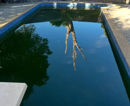 Green Pool Maintenance Templestowe