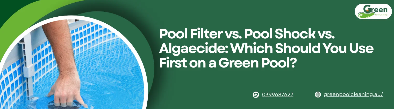 Same Day Pool Cleaning