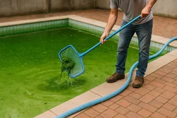 general-pool-maintenance-vermont