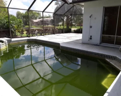 green pool fix caulfield