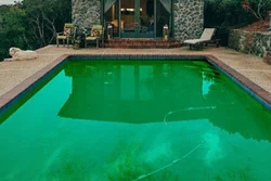 green-pool-cleaning-services-bulleen
