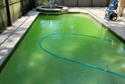 Green Pool Recovery Caulfield