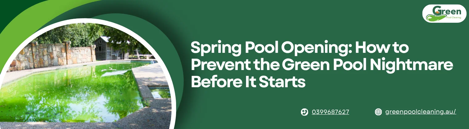 Same Day Pool Cleaning