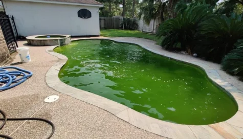 green pool fix sandringham