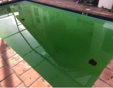 Eco-friendly Pool Cleaning Templestowe