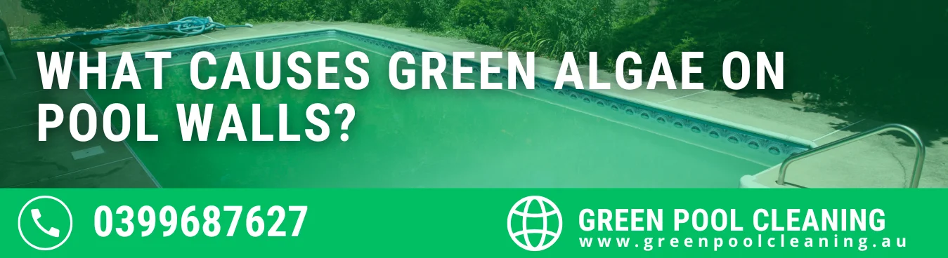 Same Day Pool Cleaning