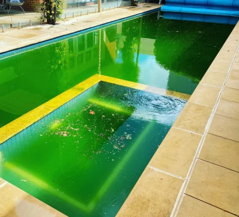 Affordable Eco Pool Cleaning Mentone