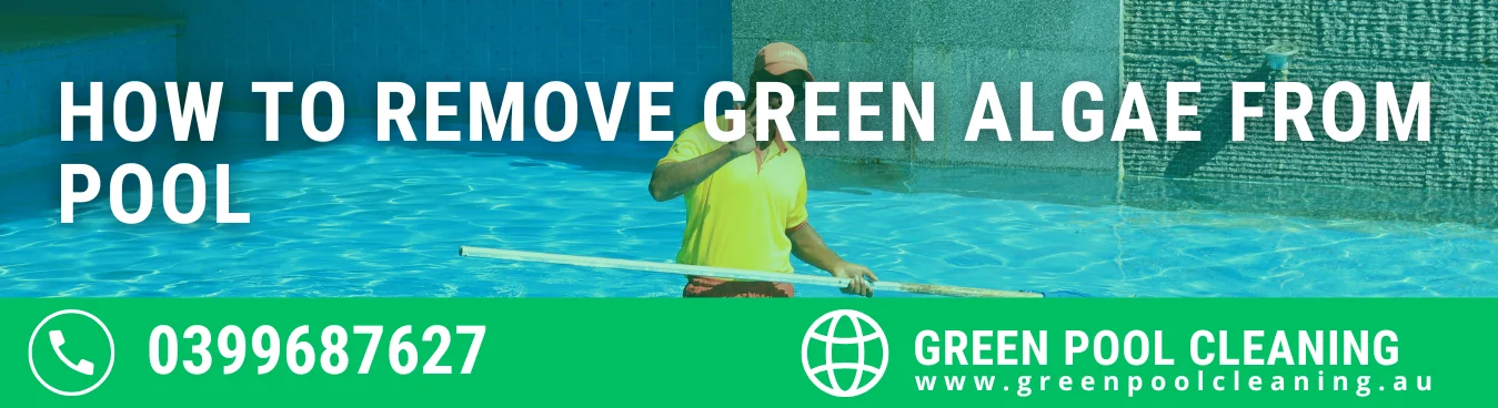 Same Day Pool Cleaning