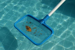 Seasonal pool care Mentone