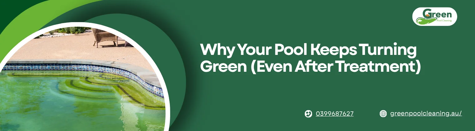 Same Day Pool Cleaning
